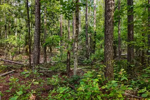 110 Handy Rd, Newnan, GA 30263 - Photo 88
