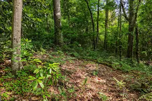 110 Handy Rd, Newnan, GA 30263 - Photo 80