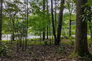110 Handy Rd, Newnan, GA 30263 - Photo 72