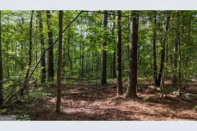 110 Handy Road, Newnan, GA 30263 - Photo 86