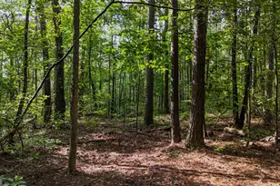 110 Handy Rd, Newnan, GA 30263 - Photo 86