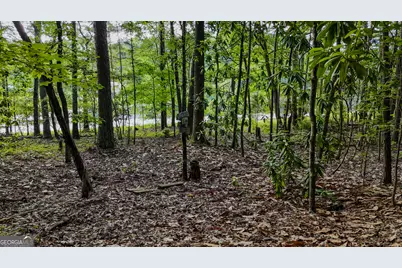 110 Handy Road, Newnan, GA 30263 - Photo 74