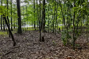 110 Handy Rd, Newnan, GA 30263 - Photo 74