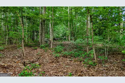110 Handy Road, Newnan, GA 30263 - Photo 76
