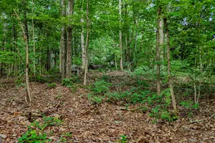 110 Handy Rd, Newnan, GA 30263 - Photo 76