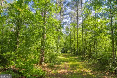 0 Weaver Jones Road, Rutledge, GA 30663 - Photo 12