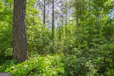0 Weaver Jones Road, Rutledge, GA 30663 - Photo 20