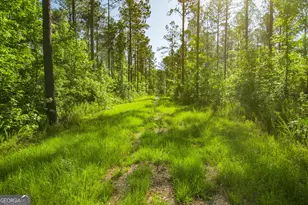 0 Weaver Jones Rd, Rutledge, GA 30663 - Photo 1