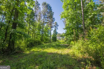 0 Weaver Jones Road, Rutledge, GA 30663 - Photo 2