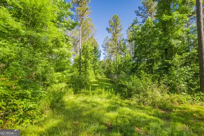 0 Weaver Jones Road, Rutledge, GA 30663 - Photo 24