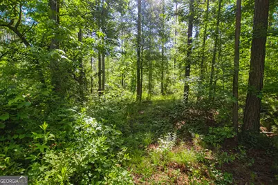 0 Weaver Jones Road, Rutledge, GA 30663 - Photo 16