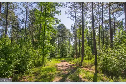 0 Weaver Jones Road, Rutledge, GA 30663 - Photo 10