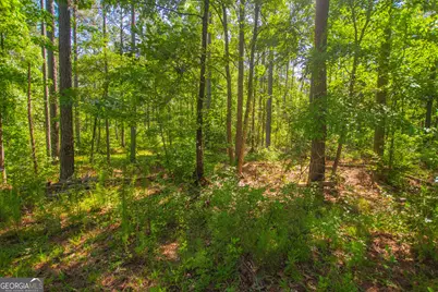 0 Weaver Jones Road, Rutledge, GA 30663 - Photo 28