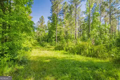 0 Weaver Jones Road, Rutledge, GA 30663 - Photo 22