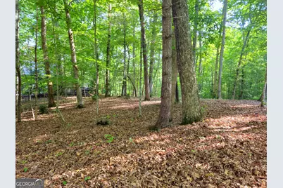 211 Winding Brook Trail, Morganton, GA 30560 - Photo 90