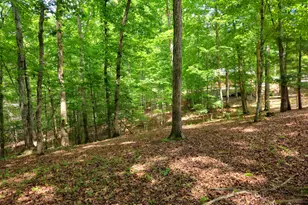 211 Winding Brk Trl, Morganton, GA 30560 - Photo 100