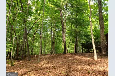 211 Winding Brook Trail, Morganton, GA 30560 - Photo 118