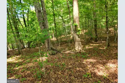 211 Winding Brook Trail, Morganton, GA 30560 - Photo 102