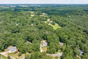 1406 Lull Water Ct, Hoschton, GA 30548 - Photo 80
