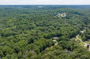 1406 Lull Water Ct, Hoschton, GA 30548 - Photo 86