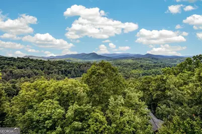 40 Foxfire Lane #6, Blue Ridge, GA 30513 - Photo 14