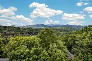 40 Foxfire Ln, Blue Ridge, GA 30513 - Photo 14