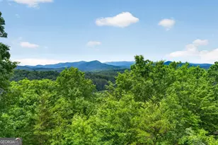 40 Foxfire Ln, Blue Ridge, GA 30513 - Photo 48