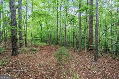 620 Old Four Notch Road, Whitesburg, GA 30185 - Photo 46