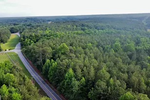 0 Hwy 145, Eastanollee, GA 30538 - Photo 1