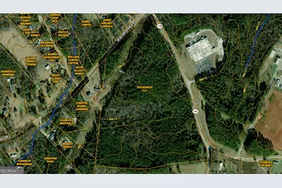 0 Highway 145, Eastanollee, GA 30538 - Photo 2