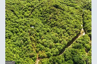 0 Hamik Hollow Road, Cleveland, GA 30528 - Photo 1