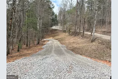 Lt 45A Synacia Drive, Mineral Bluff, GA 30559 - Photo 30