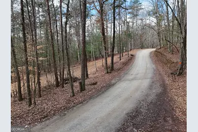 Lt 45A Synacia Drive, Mineral Bluff, GA 30559 - Photo 6