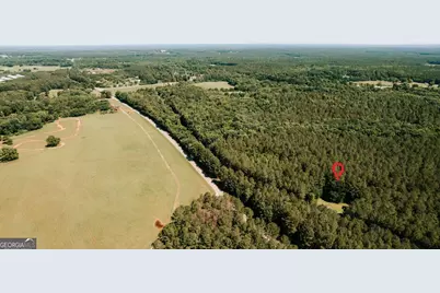 252 Sandy Cross Road, Lexington, GA 30648 - Photo 48