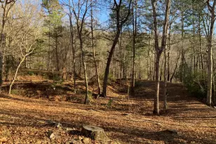 54 4 Seasons Landing, Blairsville, GA 30512 - Photo 44