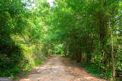 200 Chenault (9.34 +/- Acres) Road, Townville, SC 29689 - Photo 38