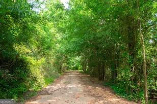 200 Chenault (9 34 +/- Acres) Rd, Townville, SC 29689 - Photo 38