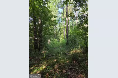 0 Perkins Road Perkins Road, Barnesville, GA 30204 - Photo 6
