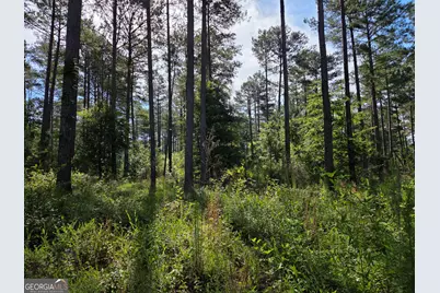 0 Perkins Road Perkins Road, Barnesville, GA 30204 - Photo 2