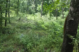 408 Bowen Rd, Milner, GA 30257 - Photo 30