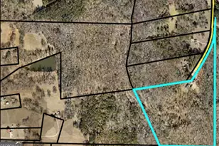 408 Bowen Rd, Milner, GA 30257 - Photo 6