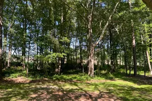 1071 Dials Mill Spur, Statham, GA 30666 - Photo 16