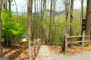 1189 Walnut Ridge, Ellijay, GA 30536 - Photo 76