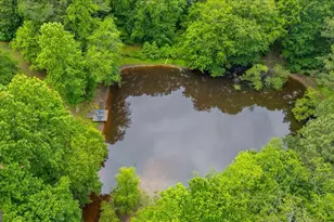 2503 Sugar Pike Rd, Canton, GA 30115 - Photo 68