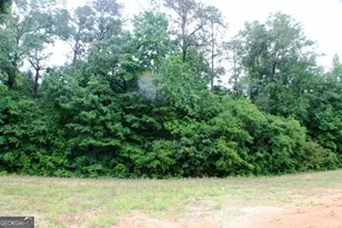1224 Snow Hill Rd, Cadwell, GA 31009 - Photo 6