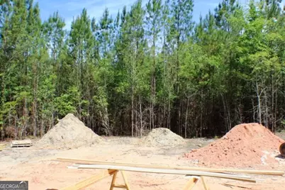 1224 Snow Hill Road, Cadwell, GA 31009 - Photo 10