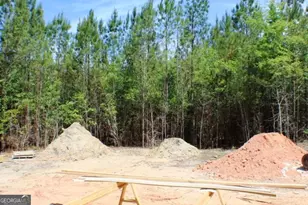 1224 Snow Hill Rd, Cadwell, GA 31009 - Photo 10