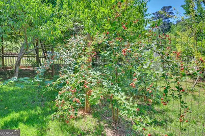 1700 Aqua Road, Madison, GA 30650 - Photo 44