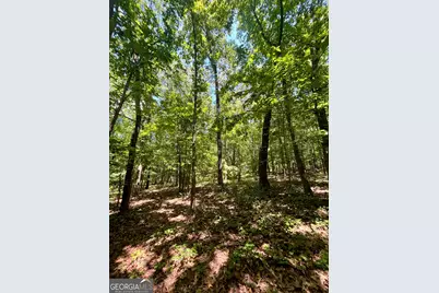 451 Two Rock Road, Waco, GA 30182 - Photo 34
