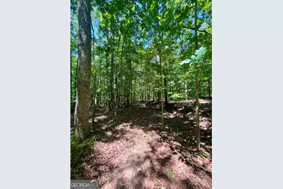 451 Two Rock Road, Waco, GA 30182 - Photo 32